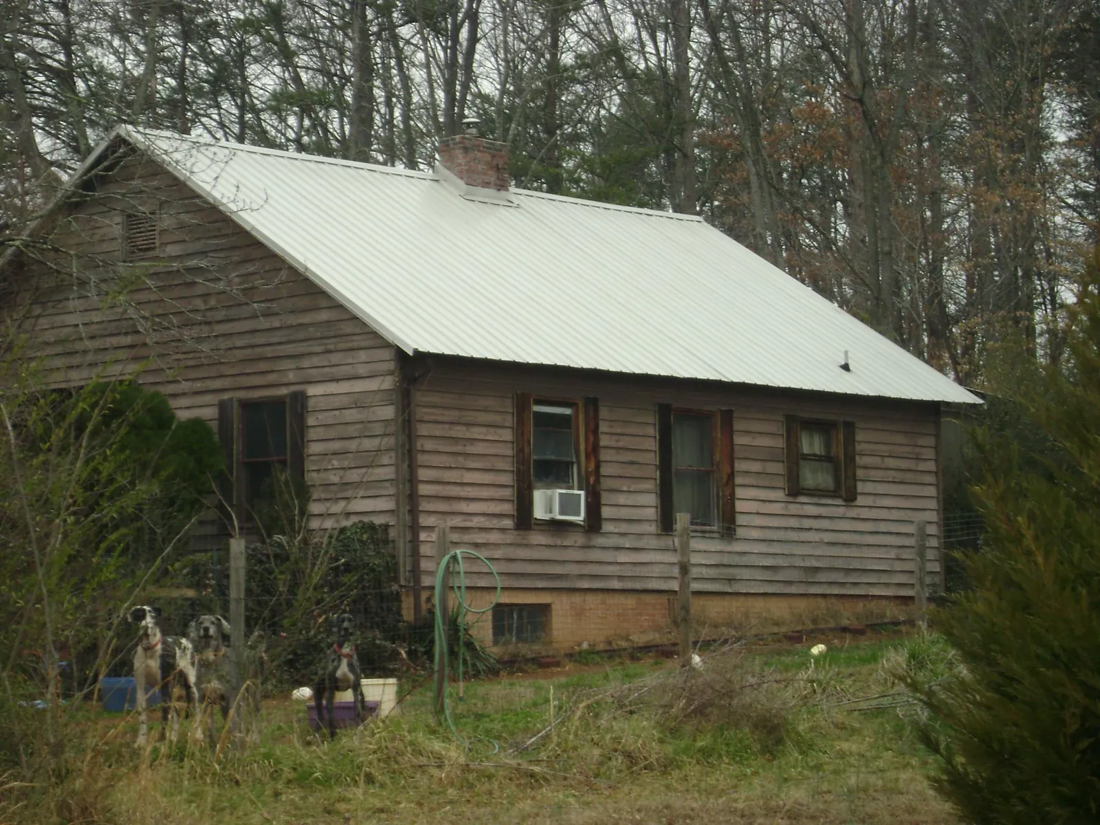White metal roof on an old wood sided farmhouse, from a Metal Roof Installation job in Eagle Bay